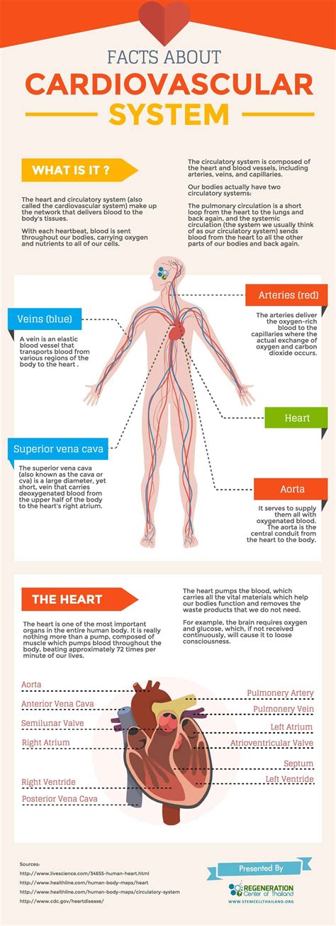 cardiye - cariye system.